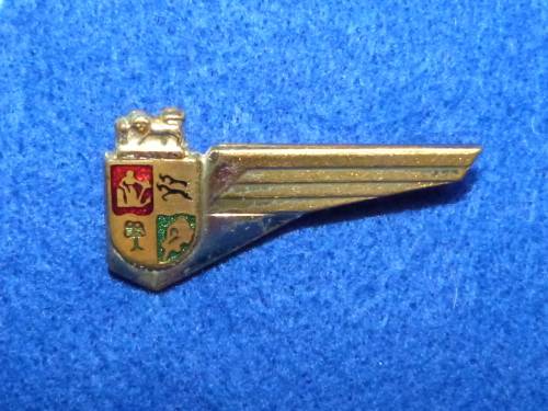 Vintage SAA Cabin Crew wing #2