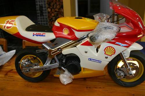 Kiddies Mini Bike