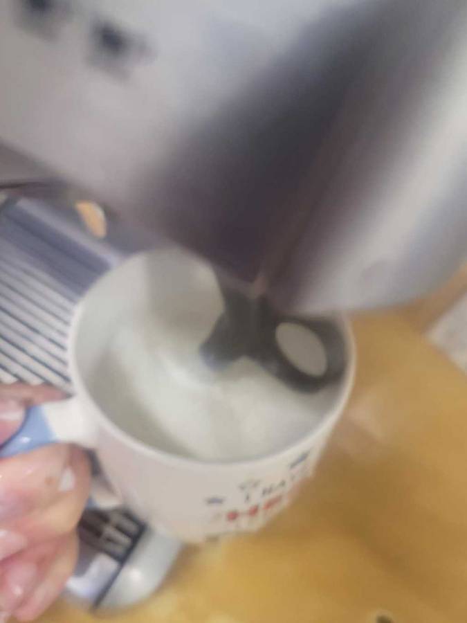 Breville Barista BES860