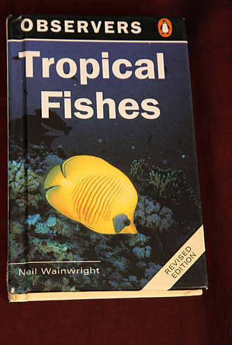 Tropical Fishes by Neil Wainwright (Observers) Revised Edition - book