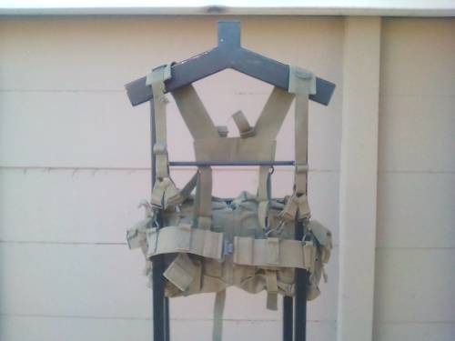 SADF KIDNEY WEBBING