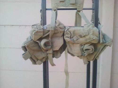 SADF KIDNEY WEBBING