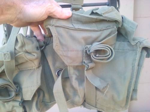 SADF KIDNEY WEBBING
