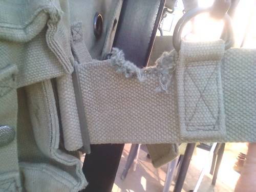 SADF KIDNEY WEBBING