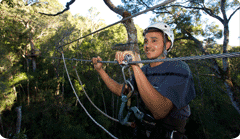 Tsitsikamma Canopy Tour