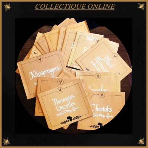 Official Big Game Proof Set of 20 Bronze Medals Franklin Mint & East African WildlifeSociety Animals