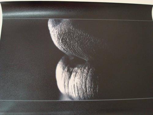 LAPTOP SKIN