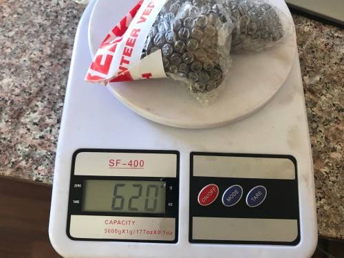 BULK 620gr 1961-1964 RSA 1/2 CENT COINS -SOME NEW/UNC / AU / USED & TONED - 1 BID for all  AVAIL.