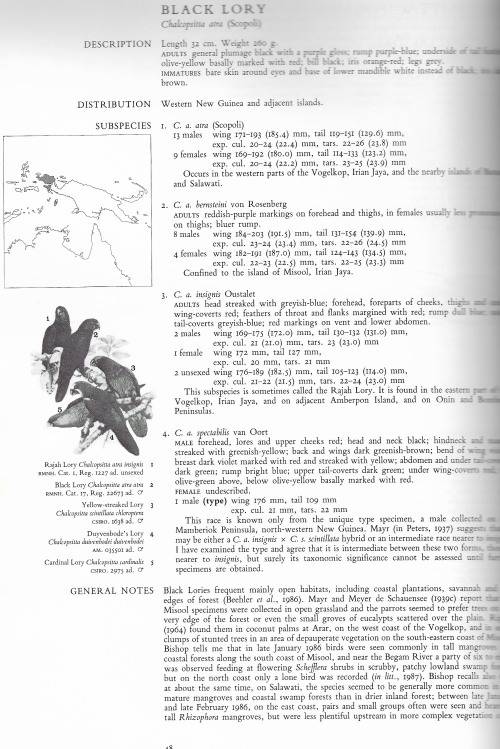 Parrots of the World 3rd Edition by Joseph M. Forshaw and William T. Cooper