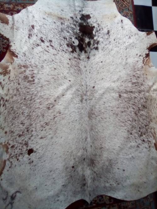 B grade Nguni hide
