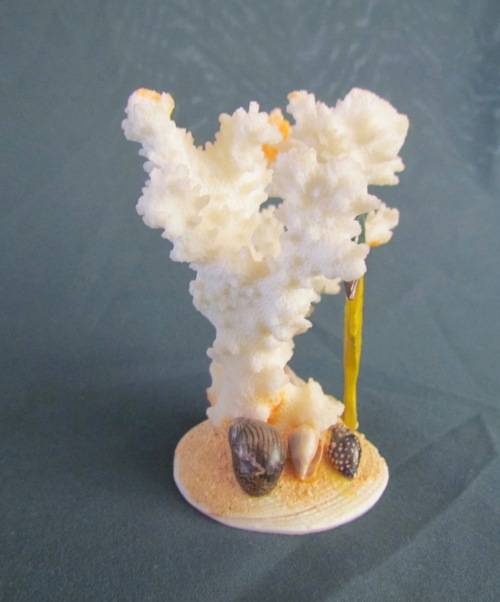 CORAL ORNAMENT on SHELL BASE=Natural Coral=Seahorse=Shells=REEF=SEA.