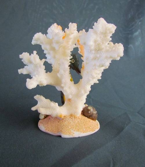CORAL ORNAMENT on SHELL BASE=Natural Coral=Seahorse=Shells=REEF=SEA.