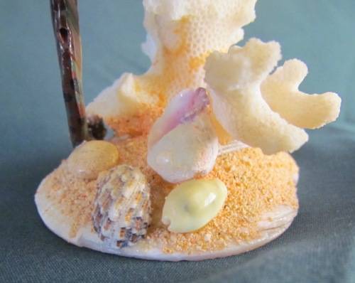 CORAL ORNAMENT on SHELL BASE=Natural Coral=Seahorse=Shells=REEF=SEA.