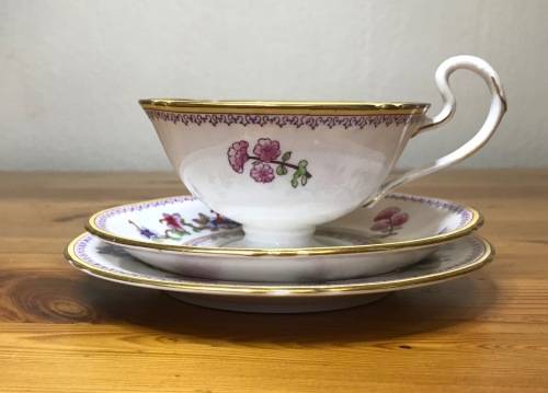 ROYAL WORCESTER=DATES to 1900=TEA TRIO=RARE=119 YEARS OLD!!=2411 PATTERN=FLORAL=FLOWERS=STUNNING!!=H