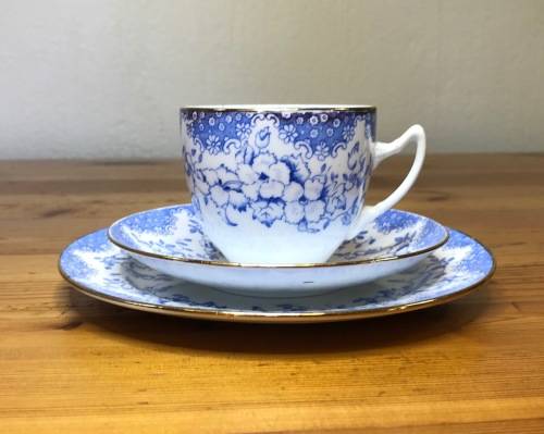 ROYAL ALBERT=BLUE and WHITE=FLORAL=FLOWERS=1927-35=5698=T.C.W.=1 TRIO=THOMAS CLARKE WILD=Read Notes.