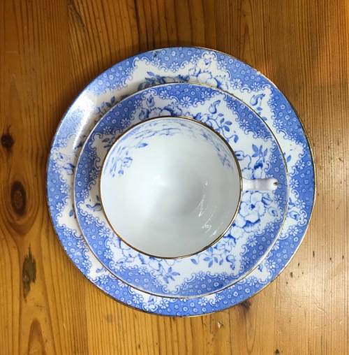 ROYAL ALBERT=BLUE and WHITE=FLORAL=FLOWERS=1927-35=5698=T.C.W.=1 TRIO=THOMAS CLARKE WILD=Read Notes.