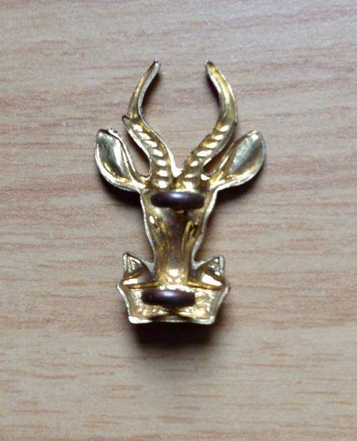 SOUTH AFRICA INFANTRY BERET BRASS BADGE=SPRINGBOK HEAD=LOOPS=SADF=DEFENCE FORCE=ARMY