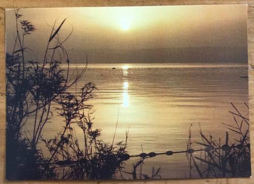 POSTCARD POST CARD ISRAEL THE SEA of GALILEE LAKE TIBERIAS KINNERET KINNERETH FRESHWATER LAKE.