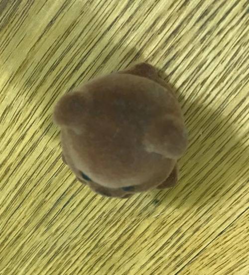 THE OWL and THE BEAR!!! OWL made with STONE AGATE? FOSSILS in the AGATE? STUNNING ITEM!!!