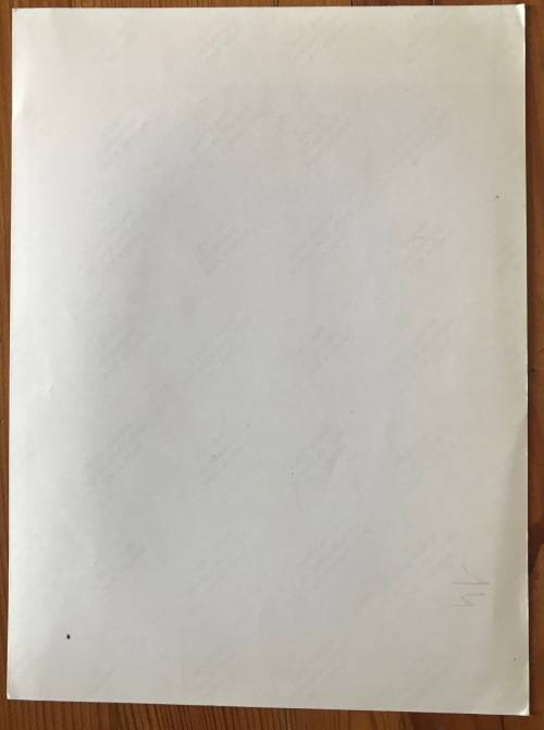 ITALY WORLD WAR TWO BLACK AND WHITE PHOTOGRAPH 18 OCTOBER 1943 `PATRIMONIO (CORSE)` HERITAGE (RACES)