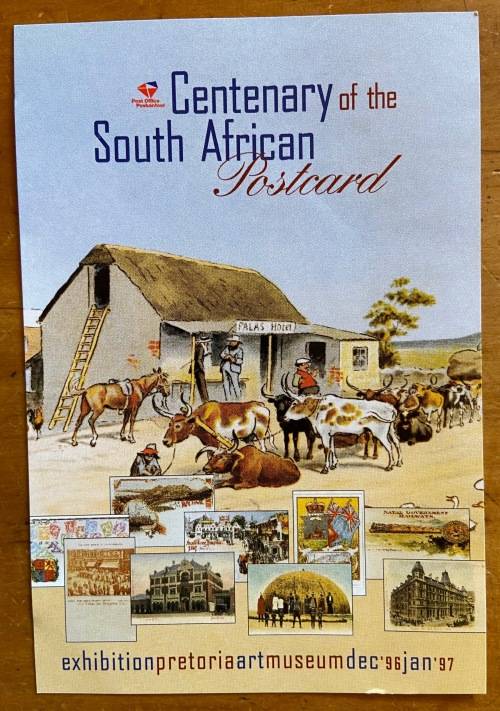 South African Postcard Exhibition Pretoria Art Museum Dec 1996 to Jan 1997 Cattle Cows