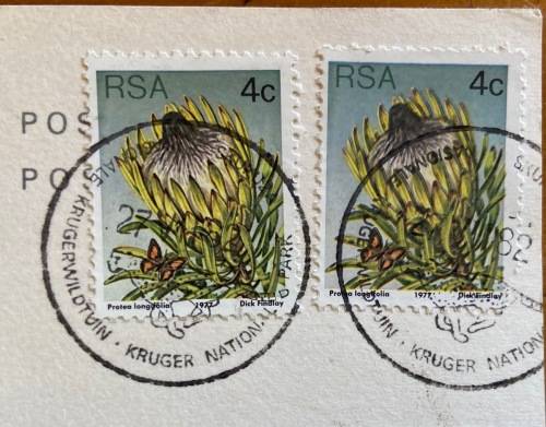 POSTCARD=BURCHELL'S ZEBRA=KRUGER NATIONAL PARK=EQUUS BURCHELLI=BONTKWAGGA=KNP CDS=1982.