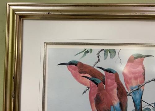 AWESOME CARMINE BEE-EATERS SIGNED LIMITED EDITION PRINT 47/250 Merops nubicoides DAVID?? Read notes!