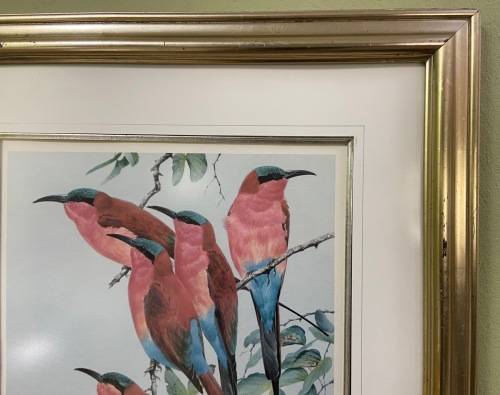 AWESOME CARMINE BEE-EATERS SIGNED LIMITED EDITION PRINT 47/250 Merops nubicoides DAVID?? Read notes!