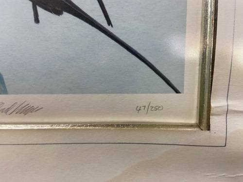 AWESOME CARMINE BEE-EATERS SIGNED LIMITED EDITION PRINT 47/250 Merops nubicoides DAVID?? Read notes!