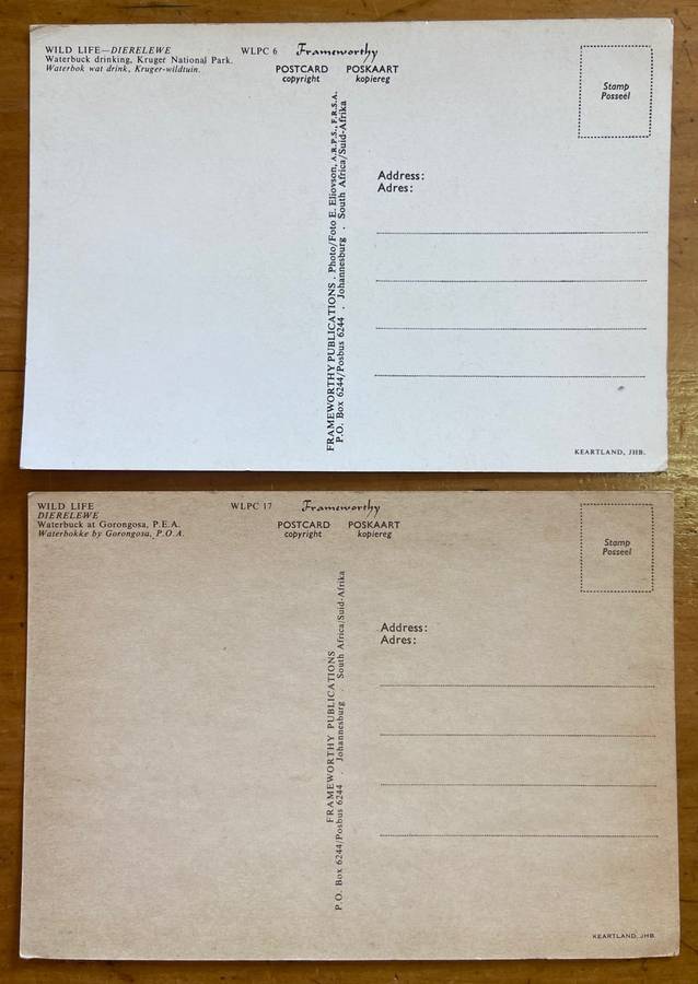 POSTCARDS POST CARDS x 2 WATERBUCK HERD & SINGLE MALE GORONGOSA & KRUGER NATIONAL PARK  ANTELOPE.
