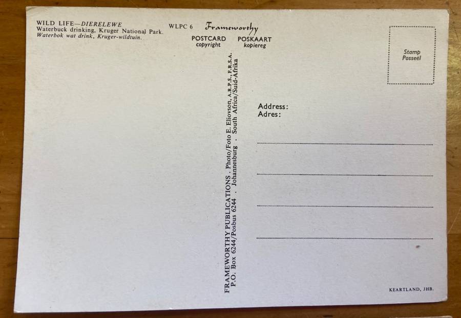 POSTCARDS POST CARDS x 2 WATERBUCK HERD & SINGLE MALE GORONGOSA & KRUGER NATIONAL PARK  ANTELOPE.