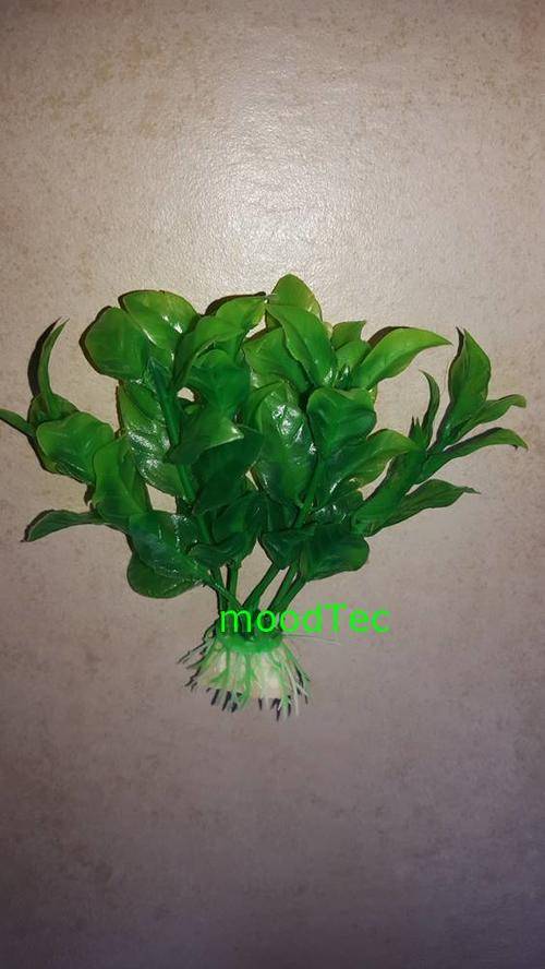Artificial Plastic Fish Tank Plant - Aquarium Decor (In Stock)