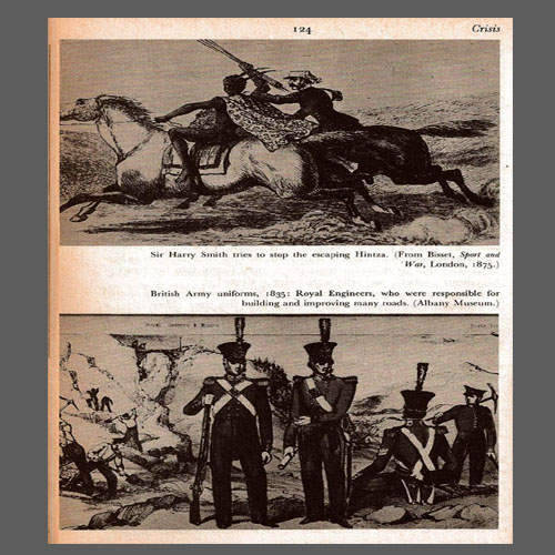 illustrations.