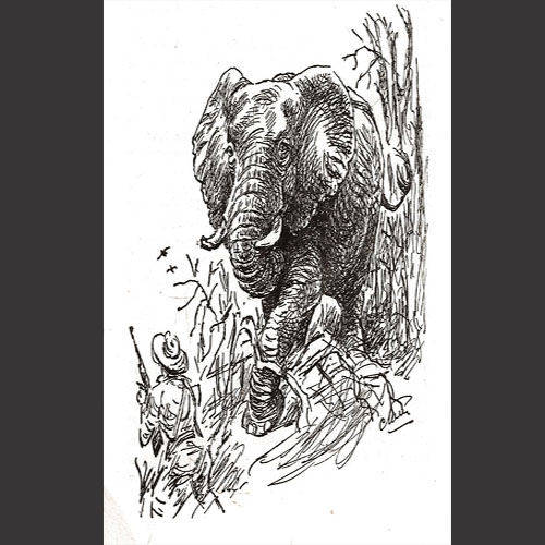 illustrations.