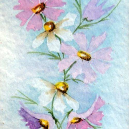 Hettie Swart & R High (SA Artists) - TWO WATER COLOUR PAINTINGS OF COSMOS FLOWERS. Framed. One lot.