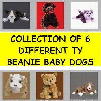 COLLECTION OF 6 TY BEANIE BABY DOGS. (Mystery gift to the buyer)