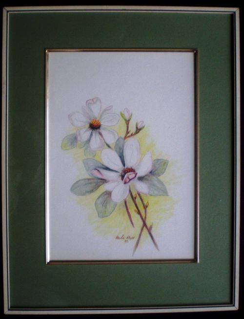 ORIGINAL WATER COLOUR PAINTING. Floral still Life of Magnolias by S A artist Valery Kayat (1985).