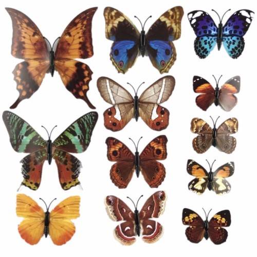 6x PVC 3d Butterfly wall stickers