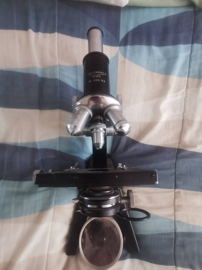 Reichert Wein Microscope Nr 220153