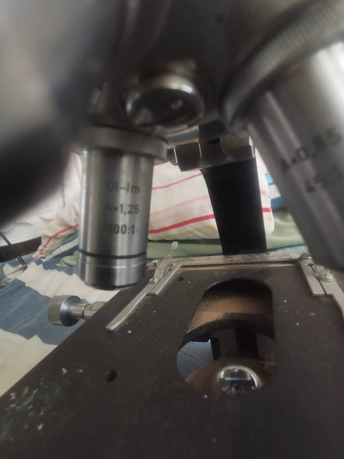 Reichert Wein Microscope Nr 220153