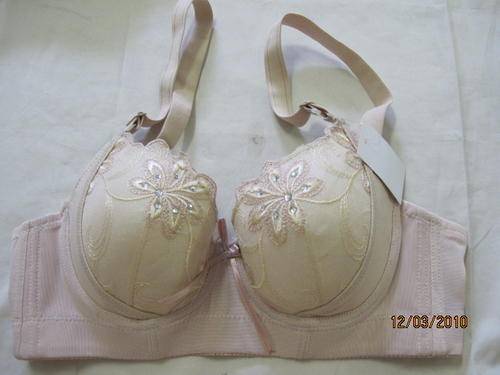 Triumph  -   Beige color with embroidery and iron on diamonte size 32C  -ON SALE