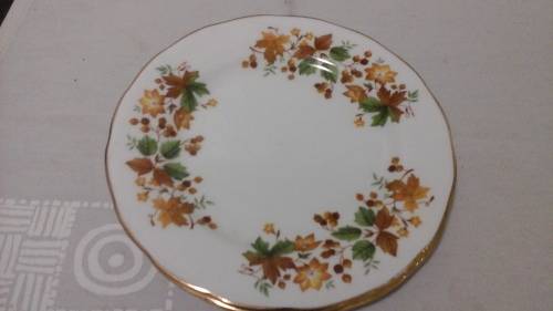 COLLECT QUEEN ANNE.THIS BEAUTIFUL AUTUMN LEAF SIDE PLATE WILL MAKE A PERFECT ADDITION