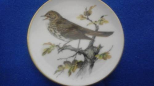 SEVEN TERRIFIC COALPORT BONE CHINA PIN DISHES. MADE IN ENGLAND. GORGEOUS SET!