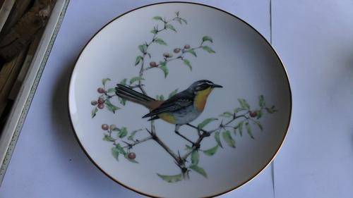 Bird of South Africa collectors plate