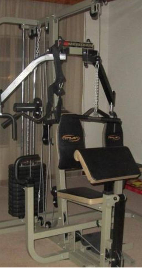 Trojan Home Gym set