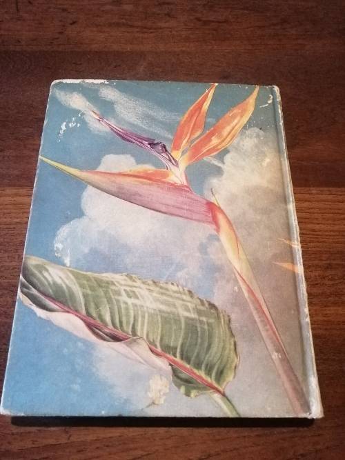 WILD FLOWERS OF THE EASTERN CAPE PROVINCE -  A Batten and H Bokelmann