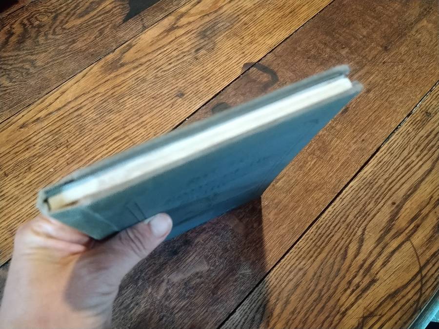 IN THE LAND OF THE SETTLERS - Dirk JJ Pretorius