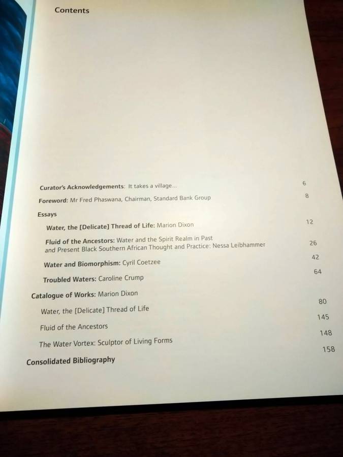 WATER, THE [DELICATE] THREAD OF LIFE -  Standard Bank Gallery Exhibition Catalogue