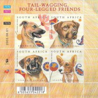 RSA 2003 um Junass / Dogs