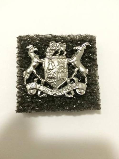 SADF Sergeant Major Class II (WO2) Metal Rank Badge (Single)